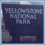 Click Here for Yellowstone National Park Photos